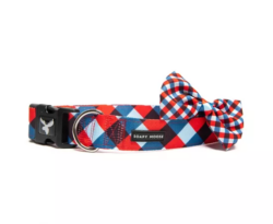 Soapy Moose The Trendsetter Collar L