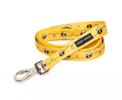 Soapy Moose Busy Bee Standard Lead