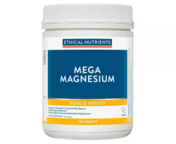 Ethical Nutrients Mega Magnesium 240 Tablets