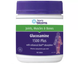 Henry Blooms Glucosamine 1500 Plus 180 Tablets